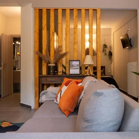 Elenis Stylish With Wooden Design Apartment