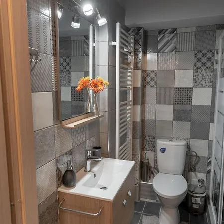 Elenis Stylish With Wooden Design Apartment
