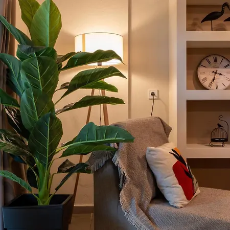 Elenis Stylish With Wooden Design Apartment