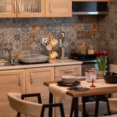 Apartment Elenis Stylish With Wooden Design