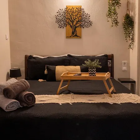 Elenis Stylish With Wooden Design Apartment